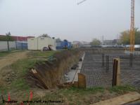 Imagine atasata: Vivalia - Bulbuca - 2015.11.08 - 12.jpg